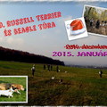 Felhívás: 29. Russell Terrier és Beagle túra