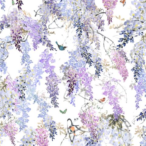 wisteria1.jpg