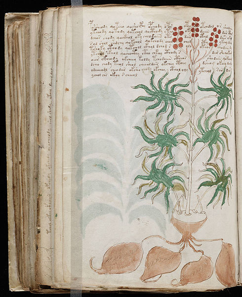 490px-Voynich_Manuscript_(168).jpg