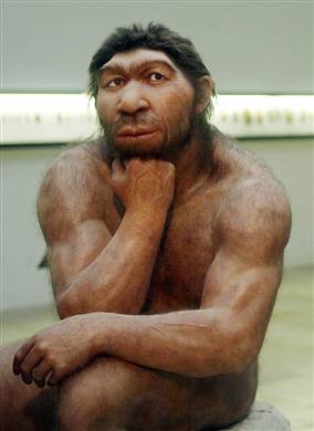 100706-neanderthal-vmed-715a.grid-6x3.jpg