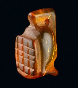 6.Amber-Gladiato.jpg