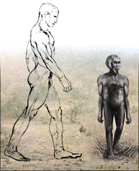 homo_floresiensis1.jpg