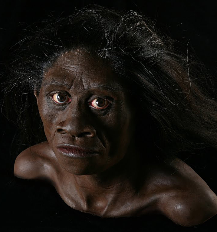 homo_floresiensis_657_fs.jpg