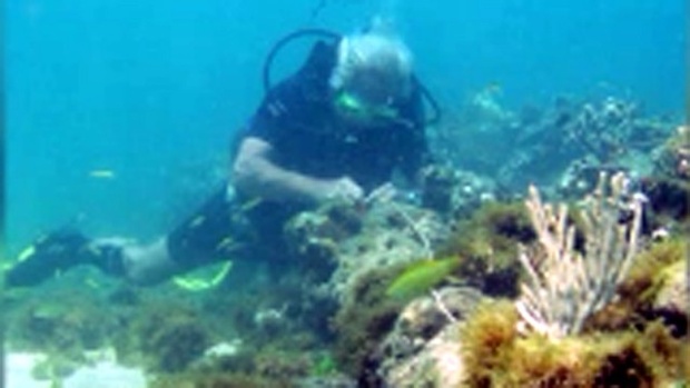 Sunken-ship-near-Haiti-jpg.jpg