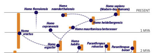 familytree_page.jpg