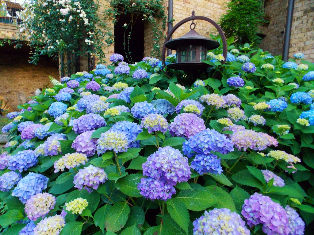 2012-05-11_5674_edited-2-1024x768.jpg