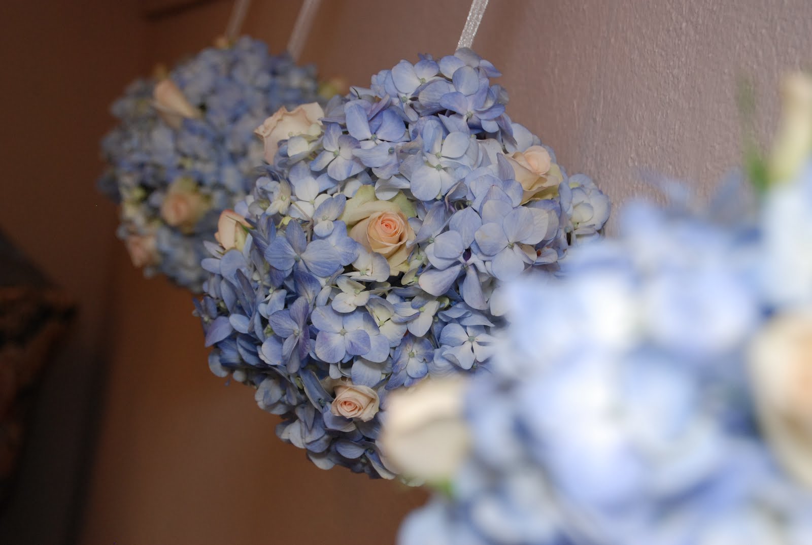 Hydrangea pomanders hanging on hooks.JPG