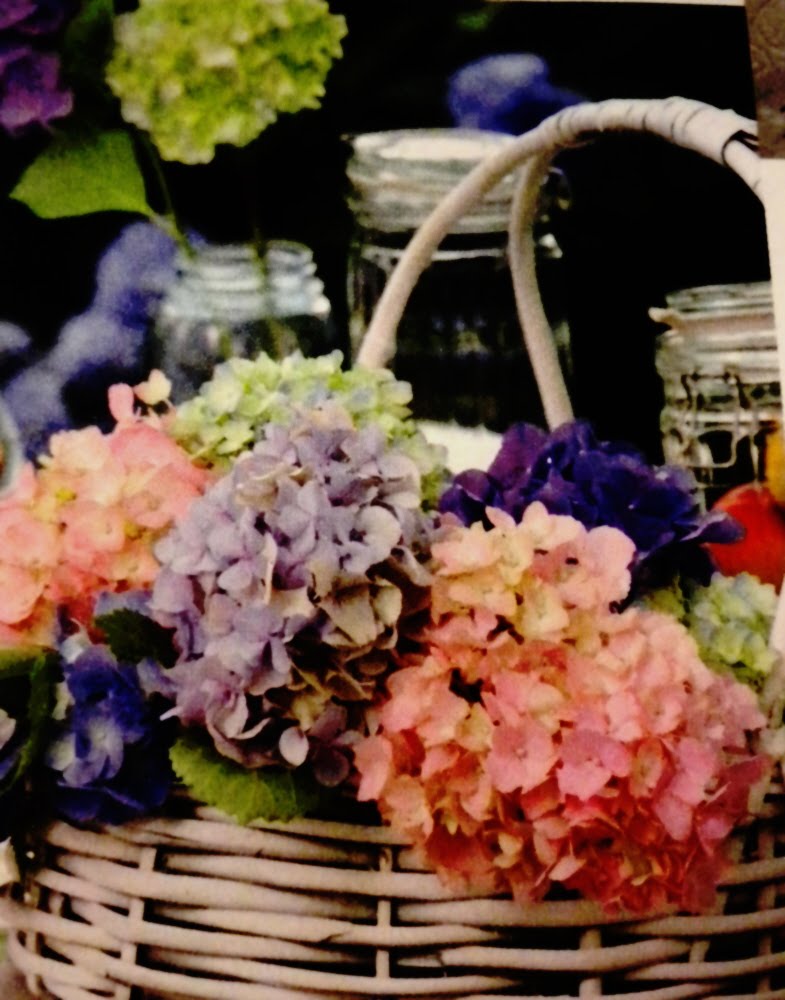 Hydrangeas in a white wicker basket.jpg