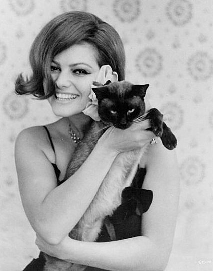 Claudia Cardinale 5.jpg