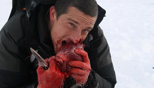 kaja_bear_grylls.png