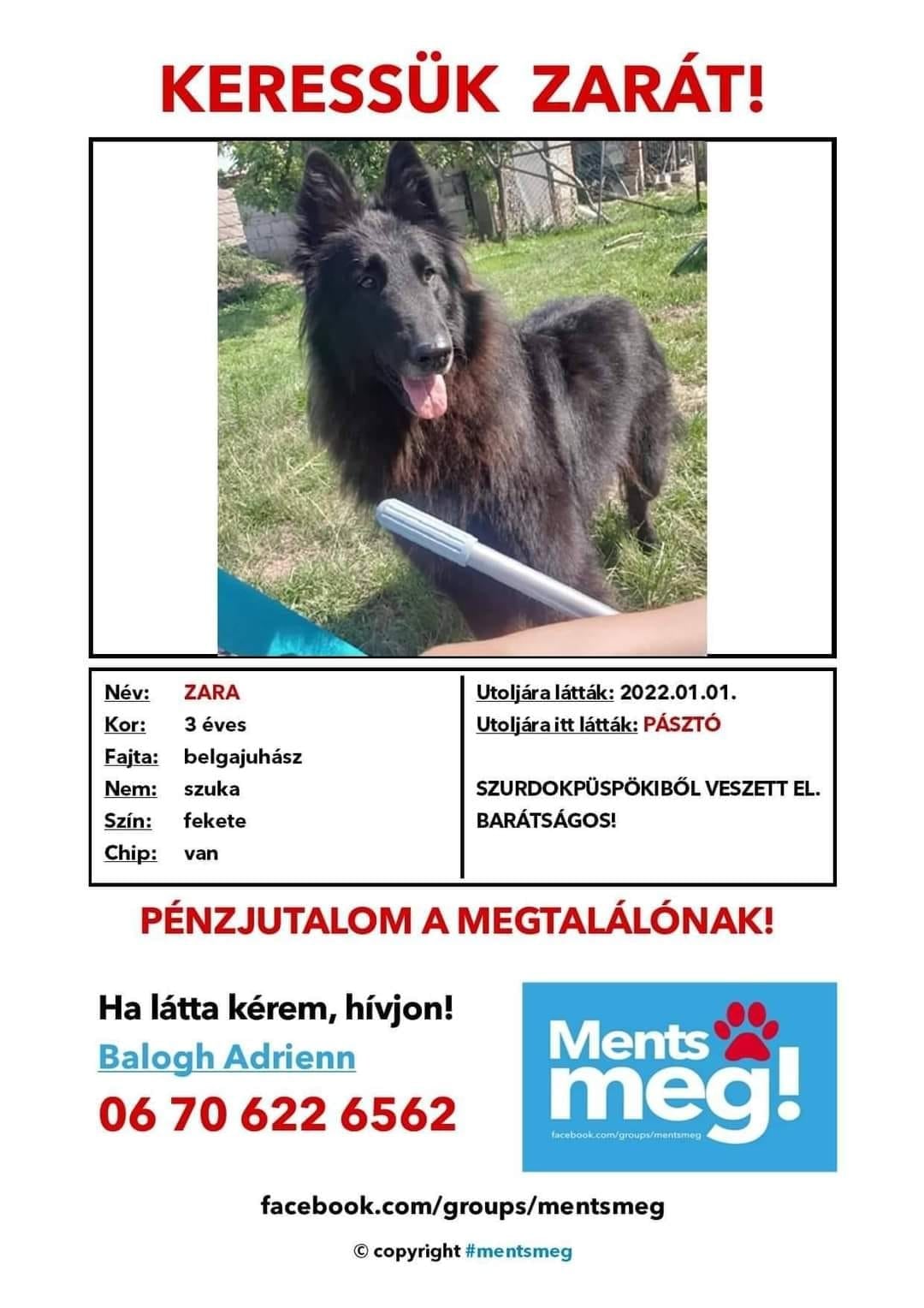 RIP<br />Sziasztok! Köszönöm a megossztásokat. Sajnos a síneken találtuk meg. Elment �<br />— Szurdokpüspöki, Nograd, Hungary<br /><br />https://www.facebook.com/groups/513394565349079/posts/4859220377433121/?__tn__=R*F