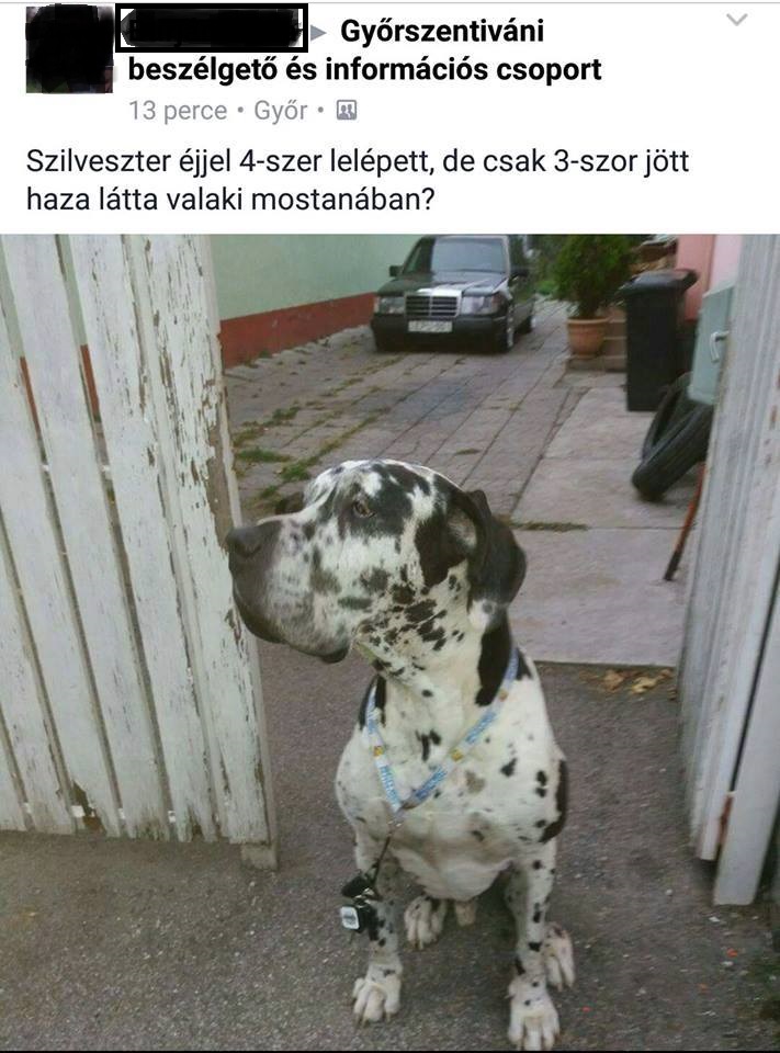 4x_szokott_el.jpg