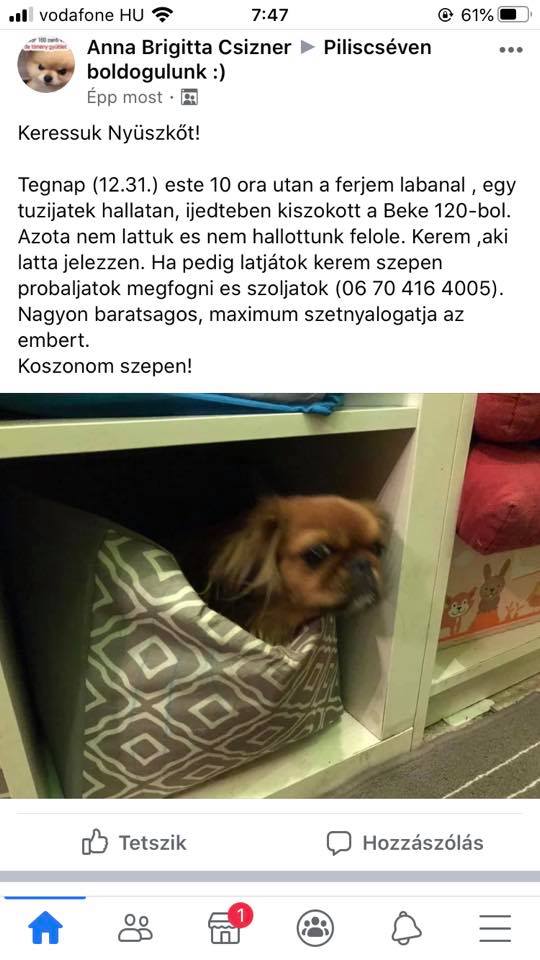 Update: Meglett :( Gazdi írta.... RIP<br /><br />Eredeti link: https://www.facebook.com/annabrigitta.csizner?__tn__=%2Cd%2AF%2AF-R&eid=ARAd0NHy0VDKllKlIs-Rzu0BWSyZfoDqBMhKpNyYdkUObiCvNcmdrxRpwjQ2mVH6sM3sLjR5SH4F7npq&tn-str=%2AF