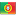 portugal-flag-icon.png