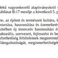A nagy kastély projekt