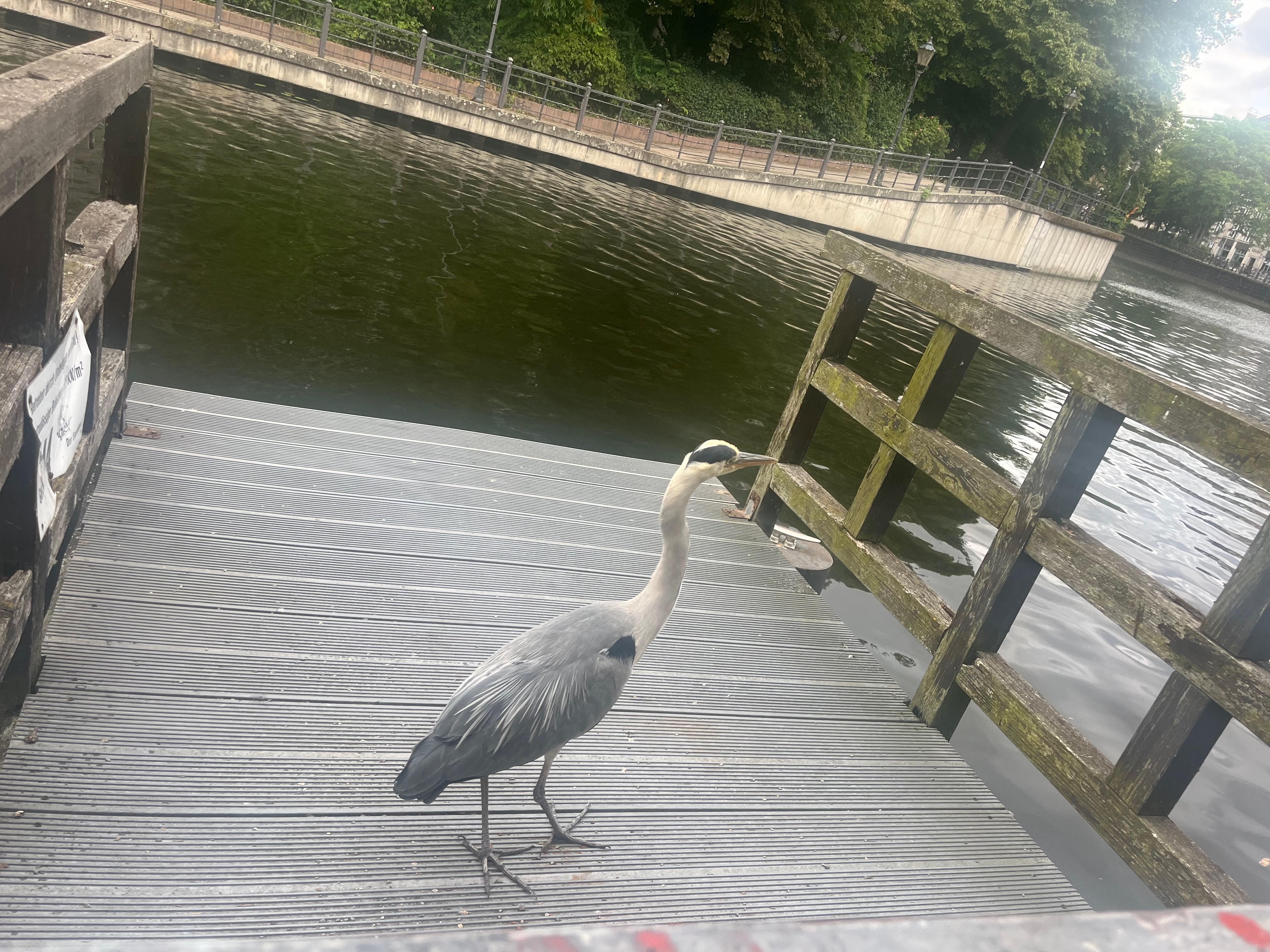 img_7083.jpeg