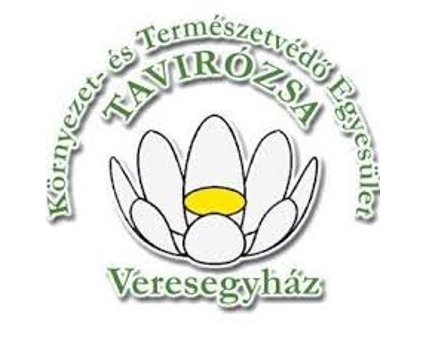 kepkivagas_2.PNG