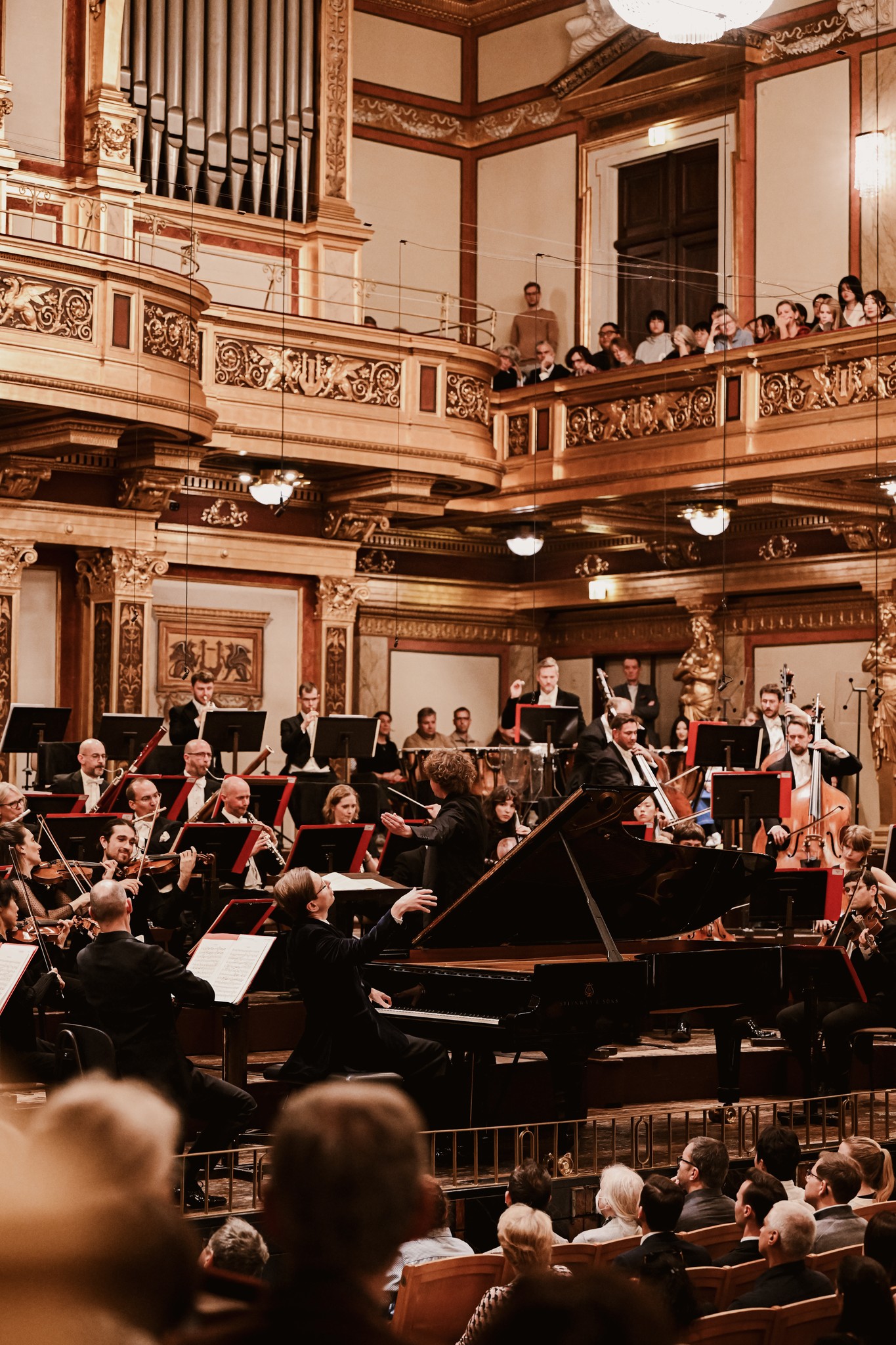 Aranyfüst és fityisz