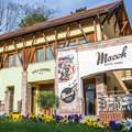 A szemnek és az ízlelőbimbóknak is kedvez