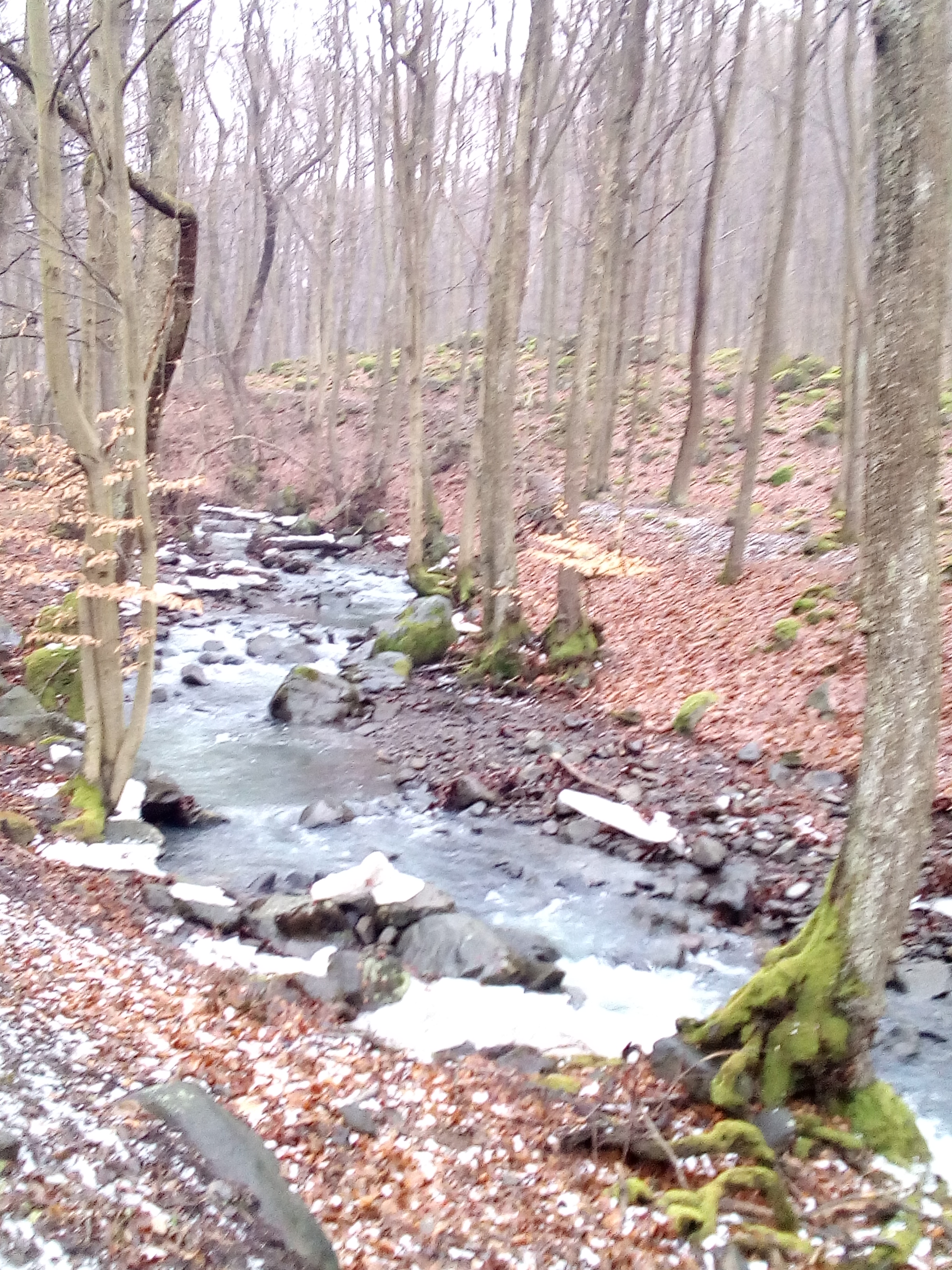 img_20160130_094849.jpg