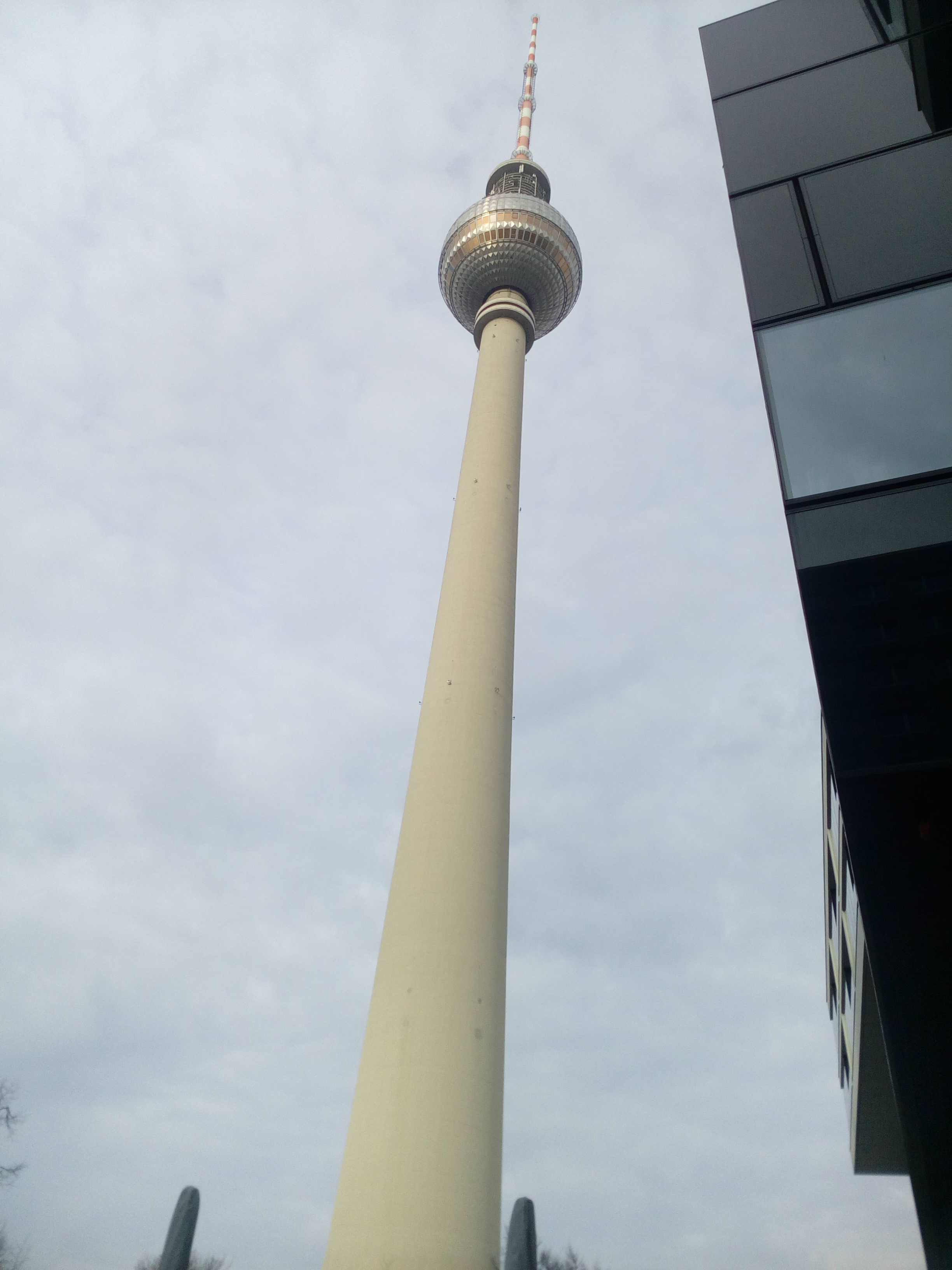img_20160206_104144.jpg