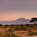 Utazás Kenyába 3. rész - Amboseli, a várva várt