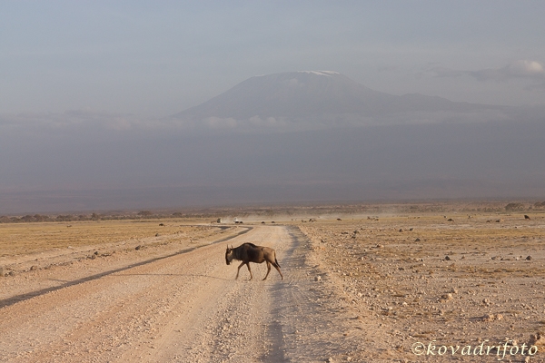 igazán lenyűgöző háttér a Kilimanjaro (5.895m)