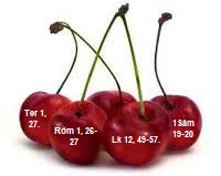 cherry.jpg