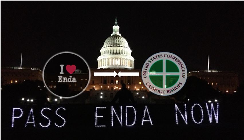 ENDA-Light-Panels-DC-Bishops-I-love-Enda2.JPG