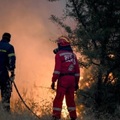 A tűzoltók visszaszorították az erdőtüzet a Parnitha-hegy közelében