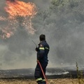 A rodoszi tüzekben 13,500 hektár erdő égett el