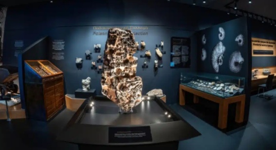 nemzeti_foldtani_muzeum_gr.jpg