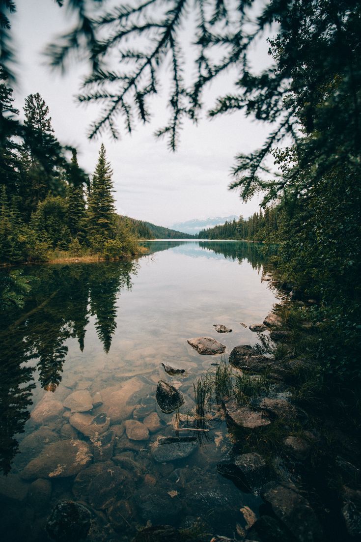 the_perfect_7-day_jasper_national_park_itinerary_the_mandagies.jpeg