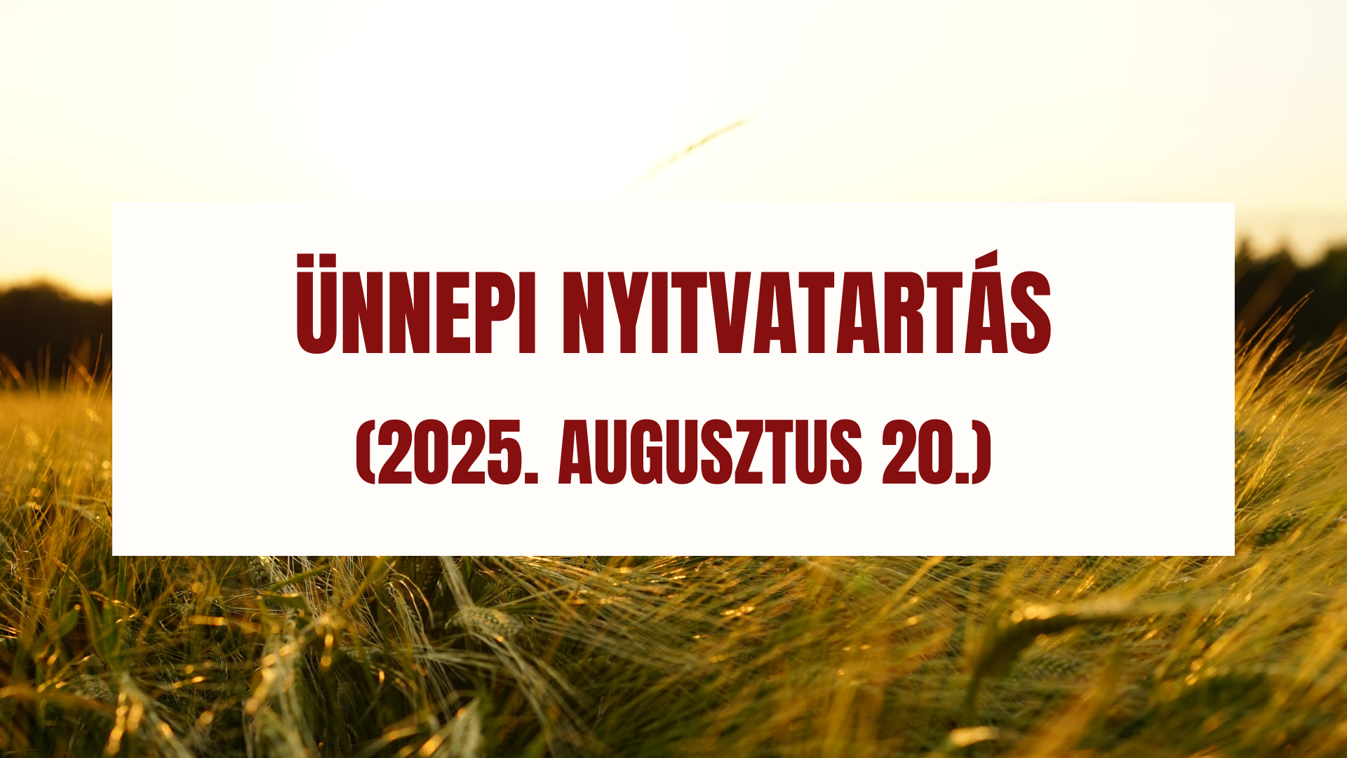 Ünnepi nyitvatartás – 2025. augusztus 20.