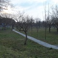 A Csillás park reggel