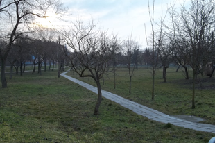 A Csillás park reggel