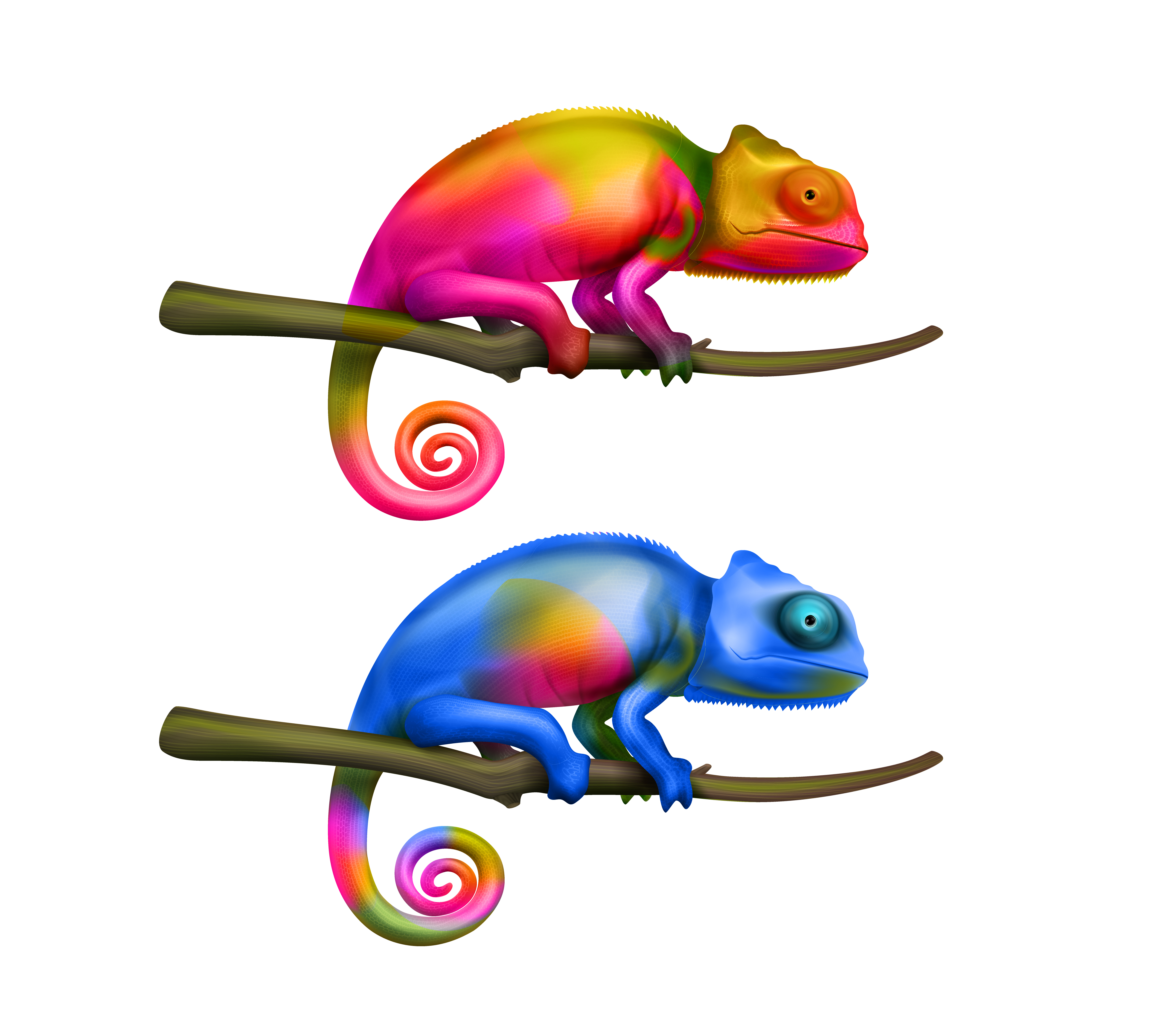 15481228_2010_i211_016_color_chameleon_realistic.jpg