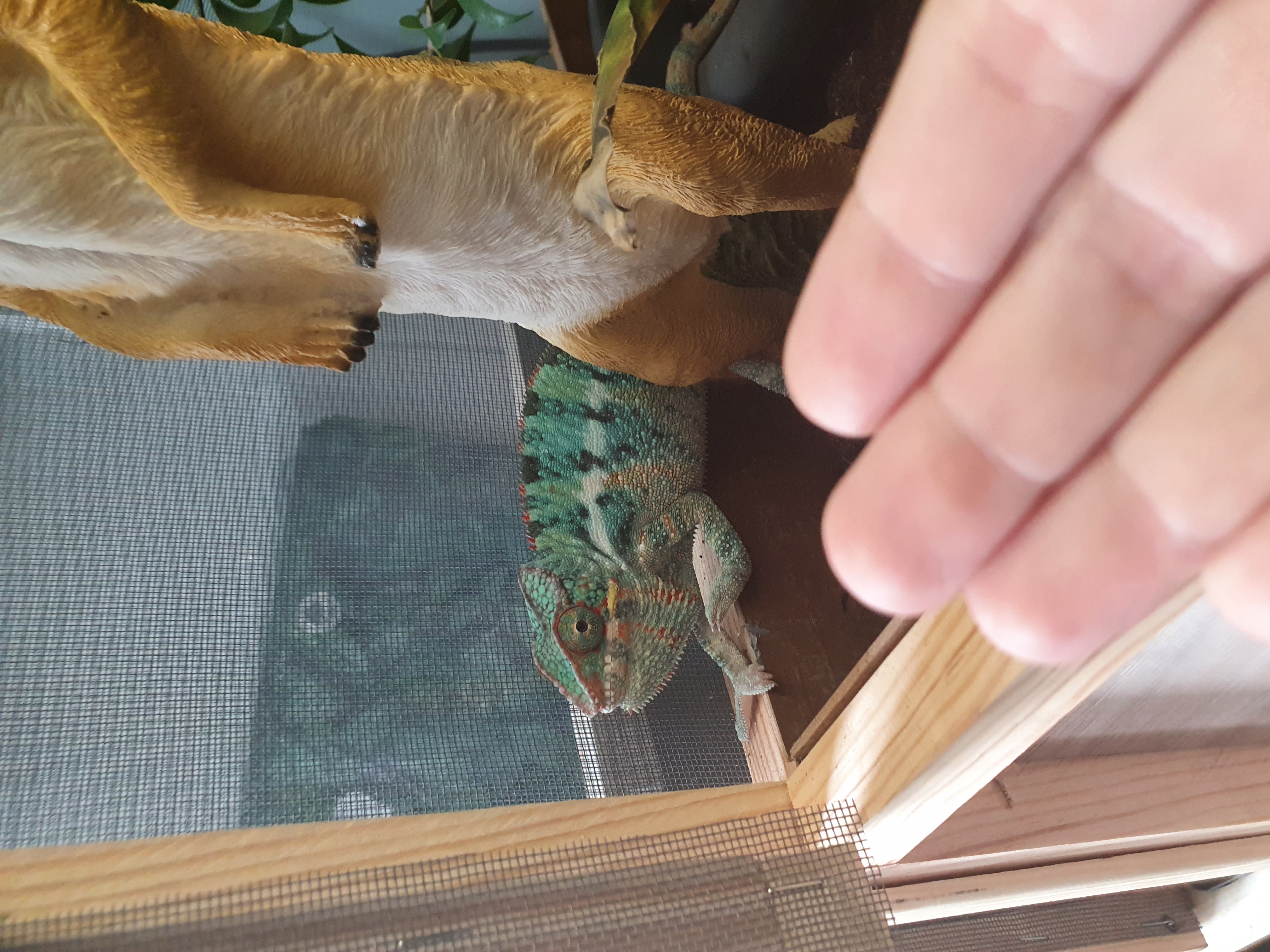 20230829_160346.jpg