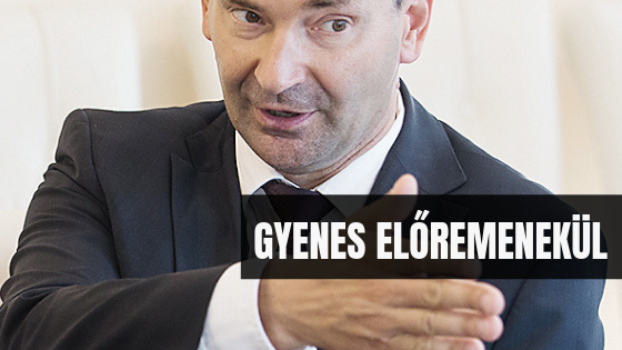 mi_a_celja_a_kampanynaplonak_2.png