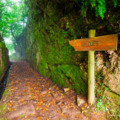 Madeira kék útjai: A levadák