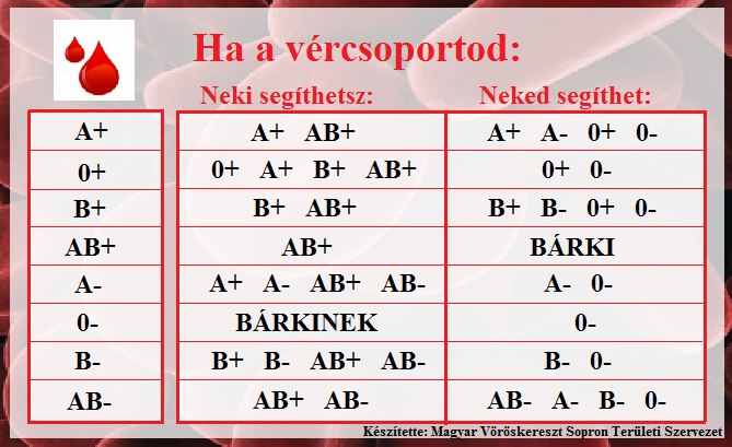 vercsoport.jpg