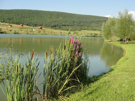 Cser-tó (P. Kovács Ágnes).jpg