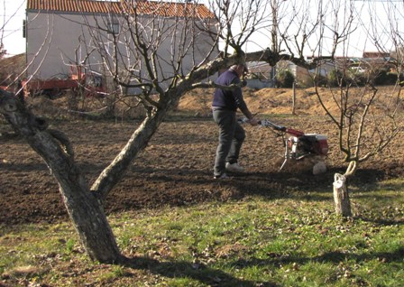 A kertásásban nagy segítség a motoros kapa.jpg