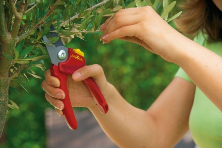 650_73_RR1500_B50_0811_07 másolata.jpg