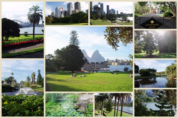 Sydney Botanic Garden2 másolata.jpg