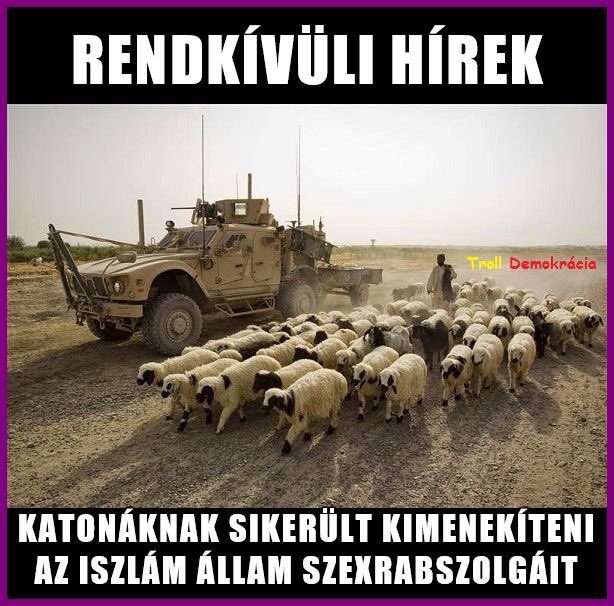 cxwak4zwaaewnxw_jpg-large.jpeg