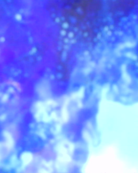 DSC01024.JPG