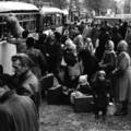 Van-e nagyobb gazemberség annál, mint amikor Félázsiából Európába bevándorolt magyarok kiabálnak kígyót-békát a menekültekre az 1956-os menekültáradat után?