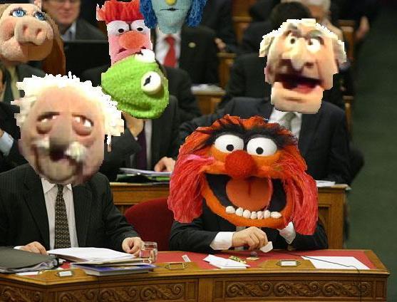 parlament muppet.JPG
