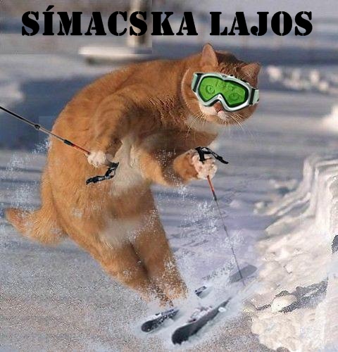 simicska-lajos.jpg